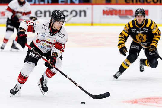 Malmö Redhawks Felix Carell