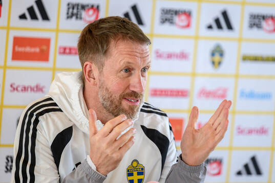 of the Swedish national football team