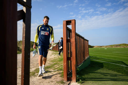 goalkeeper Kristoffer Nordfeldt of the Swedish national