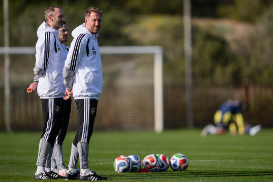 Head coach Graham Potter of the Swedish national football