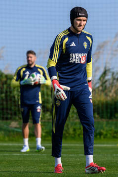 goalkeeper Kristoffer Nordfeldt and goalkeeper Noel