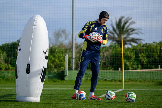 goalkeeper Noel Törnqvist of the Swedish national football