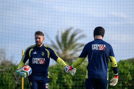 goalkeeper Kristoffer Nordfeldt and goalkeeper Noel