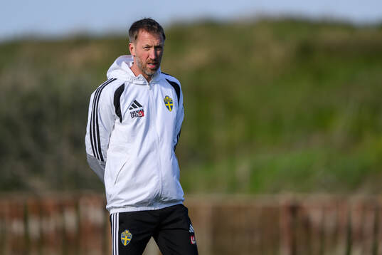 Head coach Graham Potter of the Swedish national football