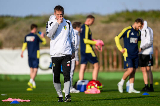 Head coach Graham Potter of the Swedish national football