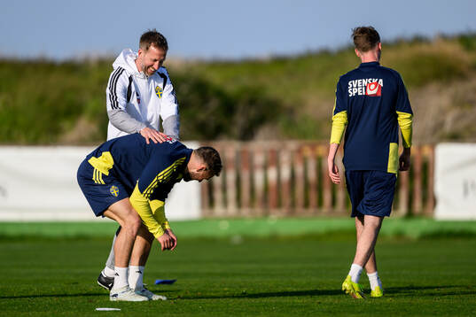 of the Swedish national football team
