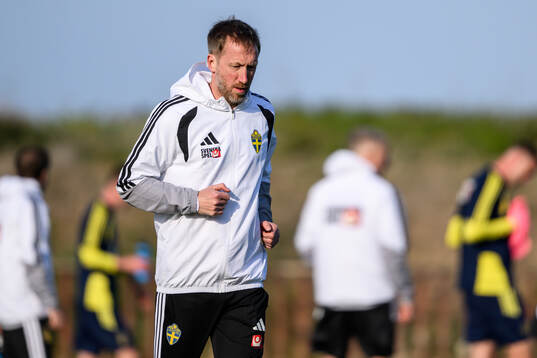 Head coach Graham Potter of the Swedish national football