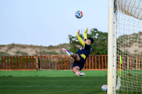 Roony Bardghji of the Swedish national football team
