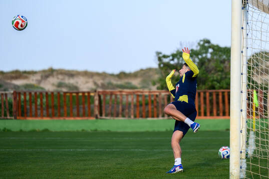 Roony Bardghji of the Swedish national football team