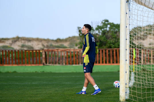 Roony Bardghji of the Swedish national football team