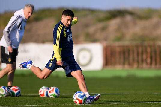 Roony Bardghji of the Swedish national football team