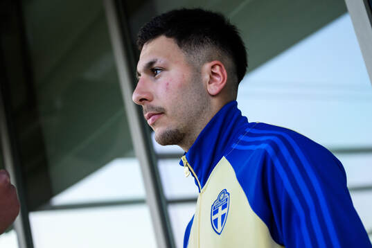 Roony Bardghji of the Swedish national football team