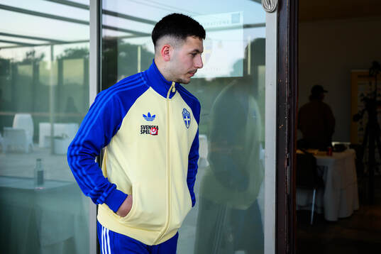 Roony Bardghji of the Swedish national football team