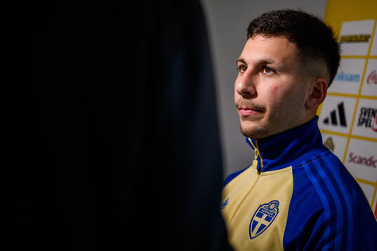 Roony Bardghji of the Swedish national football team