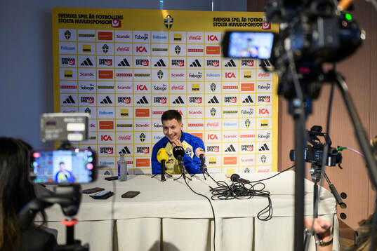 Roony Bardghji of the Swedish national football team