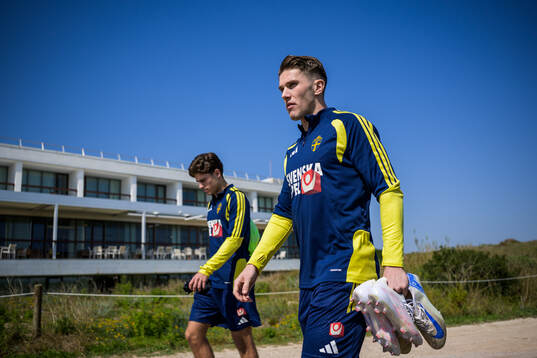 Besfort Zeneli and Viktor Gyökeres of the Swedish national