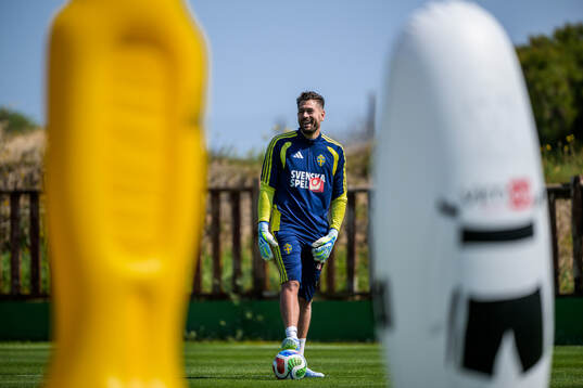 Goalkeeper Kristoffer Nordfeldt of the Swedish national