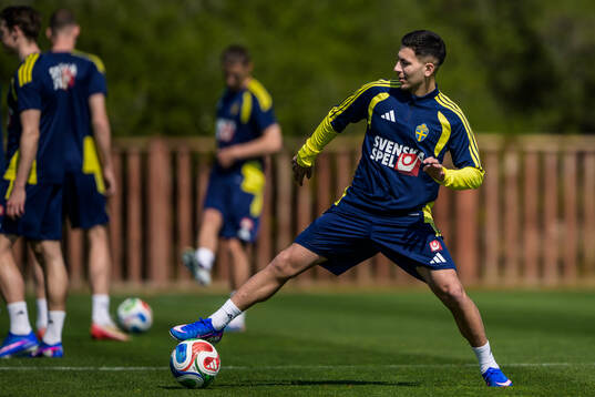 Roony Bardghji of the Swedish national football team