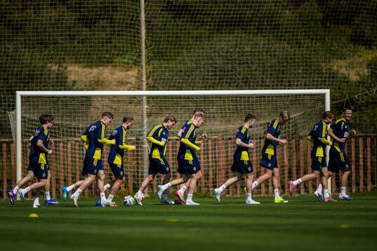 Players of the Swedish national football team
