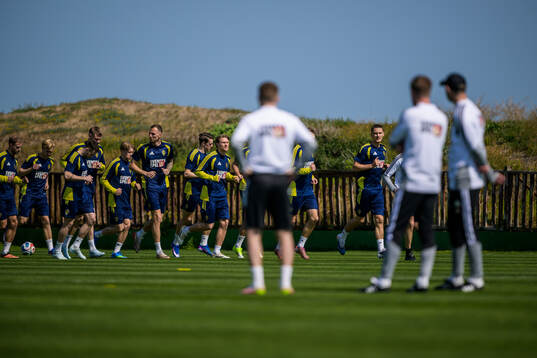 Players of the Swedish national football team
