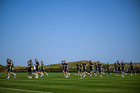Players of the Swedish national football team