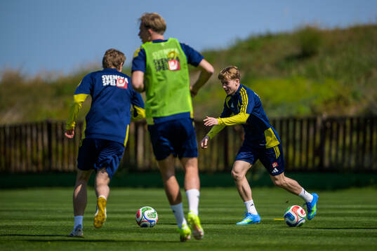 Daniel Svensson of the Swedish national football team