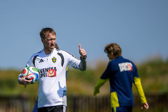 Head coach Graham Potter of the Swedish national football