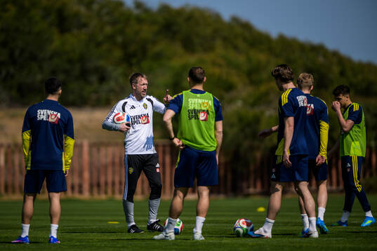 Head coach Graham Potter of the Swedish national football