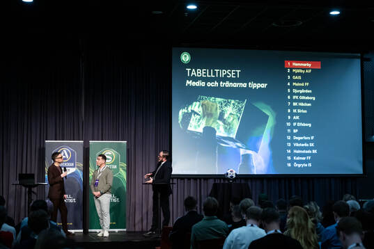 s experter Nordin Gerzic och Alexander Axén