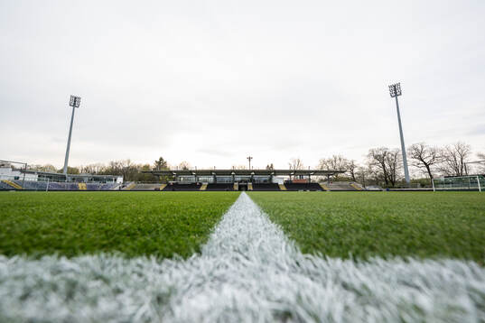 General view of Brentanobad Stadium