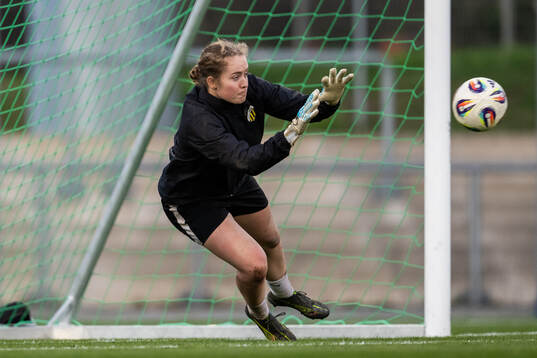 Goalkeeper Fanney Birkisdottir