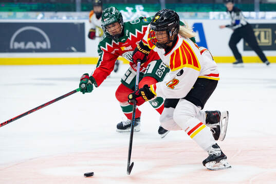 Brynäs Mina Waxin