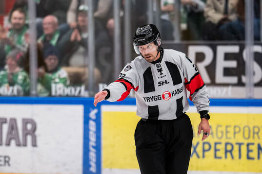 Domare Andreas Harnebring dömer mål