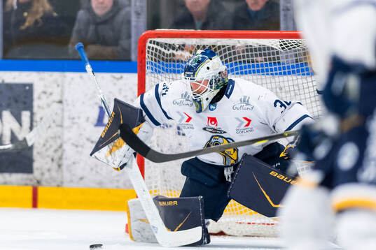 Visby Romas målvakt Scott Hector