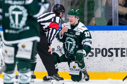 Domare Robin Werner och Tingsryds AIFs Tim Dackell