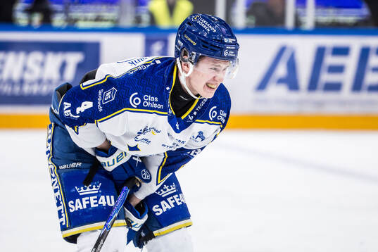 Leksands Tinus Luc Koblar