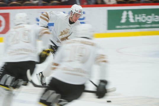 AIKs Borna Kopac innan kvartsfinal fem i Hockeyallsvenskan