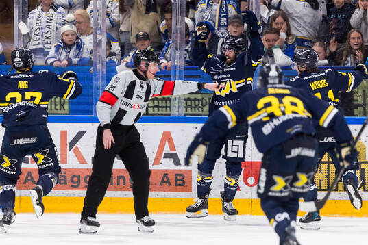 HV71s Lukas Rousek jublar