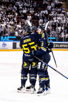 HV71s Hugo Pettersson jublar