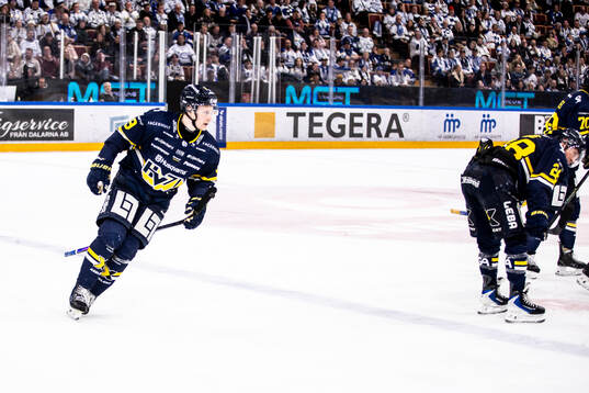 HV71s Hugo Pettersson jublar