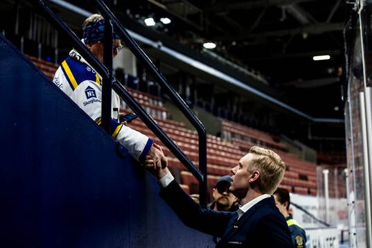 HV71s tränare Anton Blomqvist