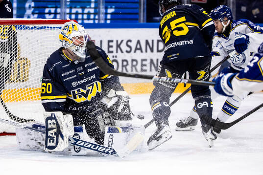 HV71s målvakt Felix Sandström