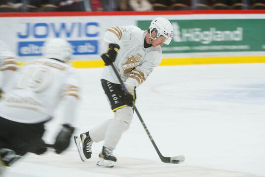 AIKs Borna Kopac innan kvartsfinal fem i Hockeyallsvenskan