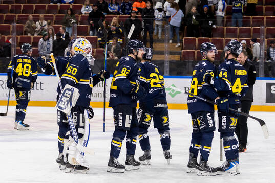 HV71s målvakt Felix Sandström och Santeri Hatakka jublar