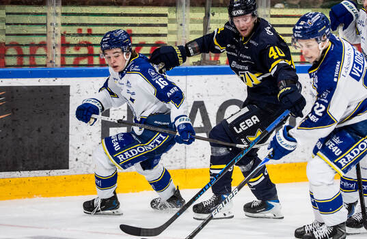 Leksands Rocky Langvardt och HV71s Oskar Stål-Lyrenäs