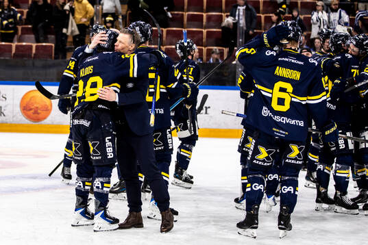 HV71s spelarna jublar