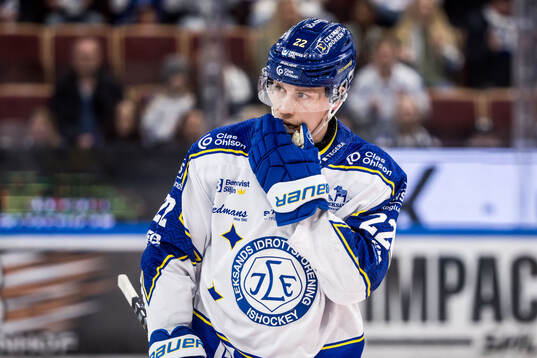 Leksands Lukas Vejdemo