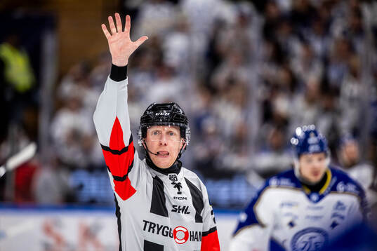 Domare Tobias Björk