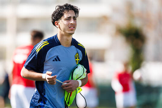 Rayan Bardghji of Sweden