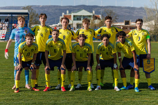 Players of Sweden pose for a team photo
